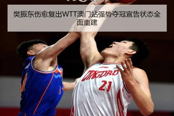 樊振东伤愈复出WTT澳门站强势夺冠宣告状态全面重建